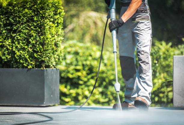 Best Sidewalk and Walkway Cleaning  in Houma, LA